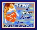 Boomer's award